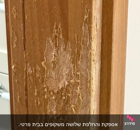 דלת עץ עם סימני בלאי ונזק